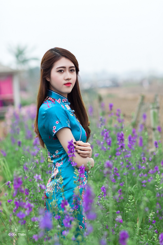 贝多芬小姐的启蒙在线观看完整免费
